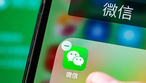 手机微信界面
